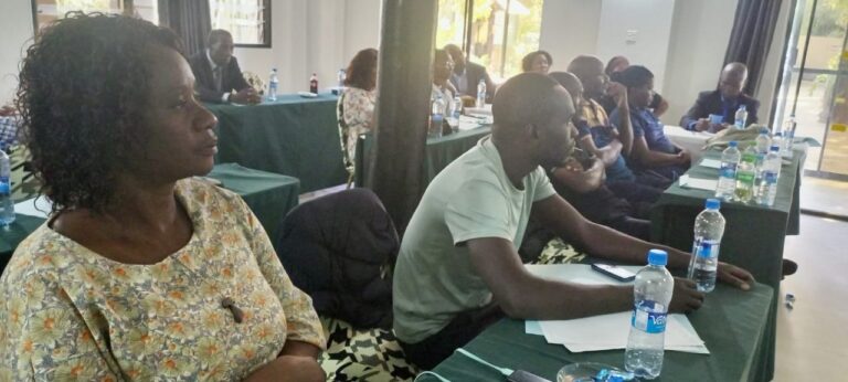 Building Inclusive Politics: ZNWL Engages Kabwe Political Parties on Gender Mainstreaming