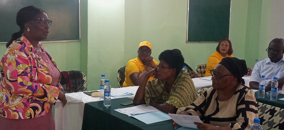 ZNWL Champions Gender-Inclusive Adoption Committees in Kabwe