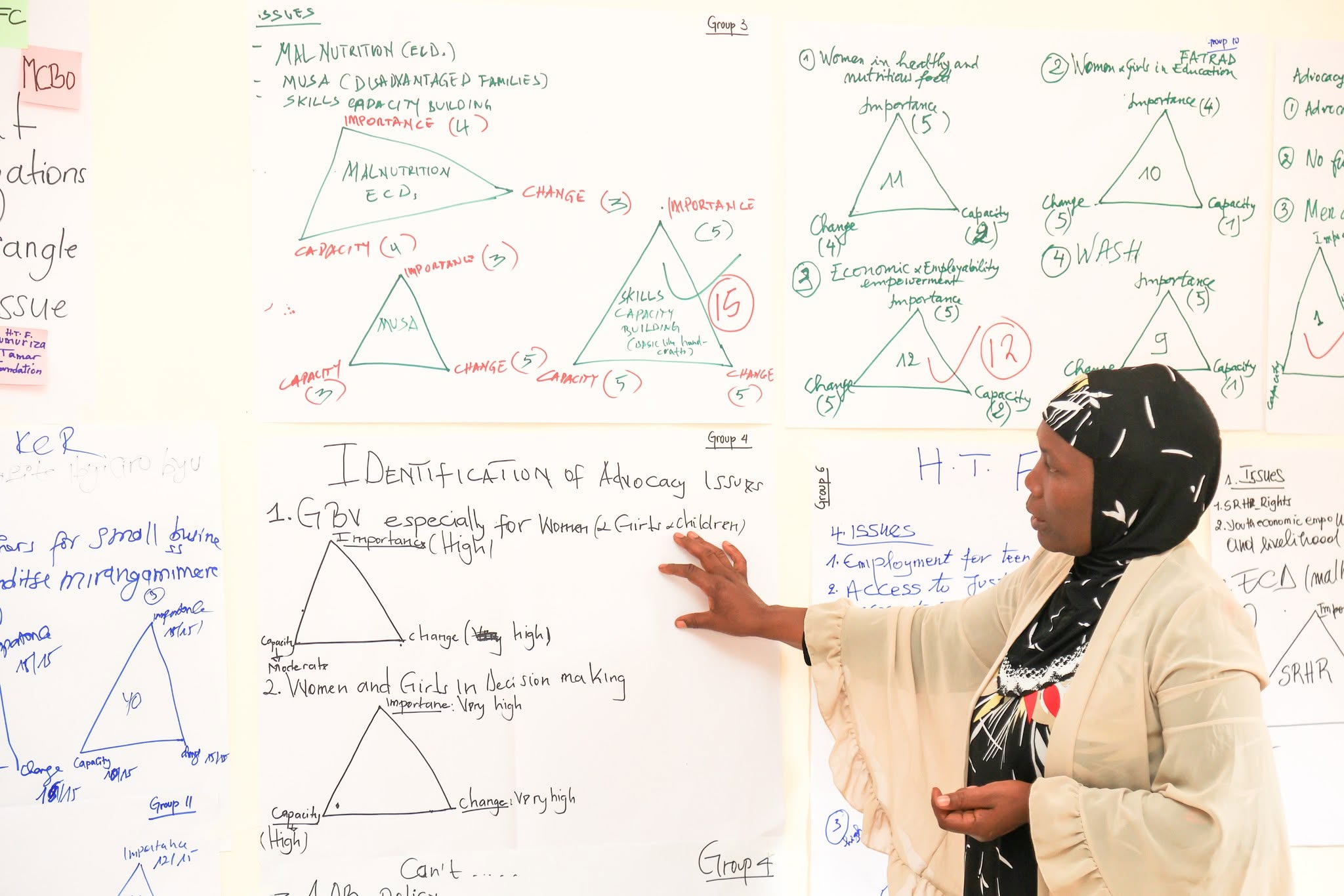 WGF Capacity Programme Explores Strategic Advocacy and the ‘Criteria Triangle’